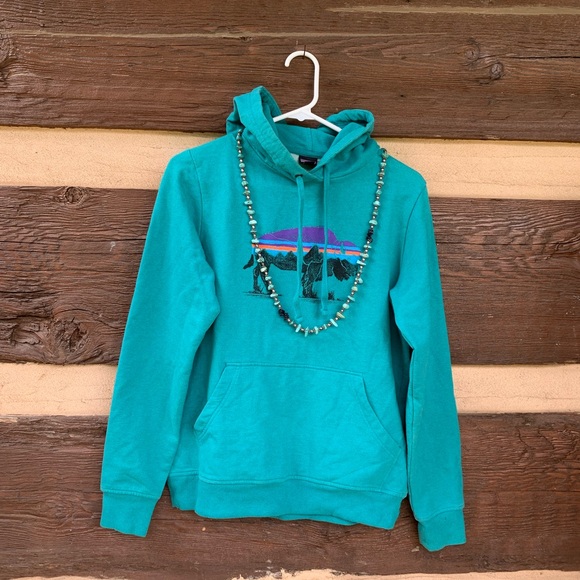 Patagonia Tops - Patagonia S organic cotton Teal Hoodie bison Graphic sweatshirt buffalo pullover